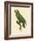 Barraband Parrot No. 86-Jacques Barraband-Framed Art Print