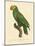 Barraband Parrot No. 86-Jacques Barraband-Mounted Art Print