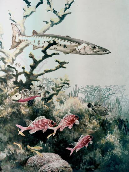 Premium Giclee Print, , large