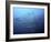 Barracudas-Henry Jager-Framed Photographic Print