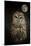 Barred Owl and the Moon-Jai Johnson-Mounted Giclee Print