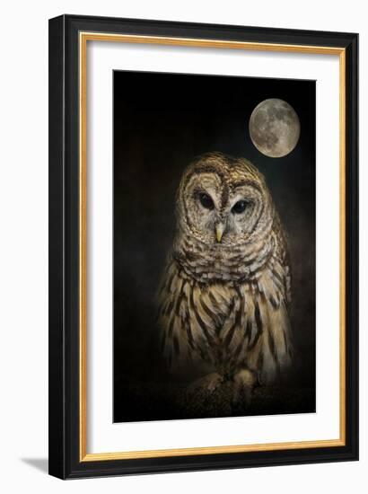 Barred Owl and the Moon-Jai Johnson-Framed Giclee Print