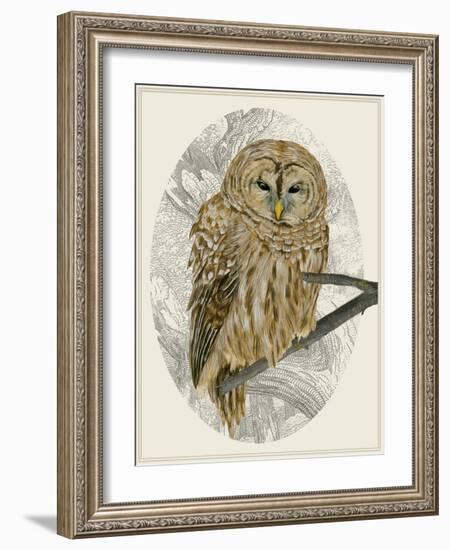 Barred Owl I-Melissa Wang-Framed Art Print