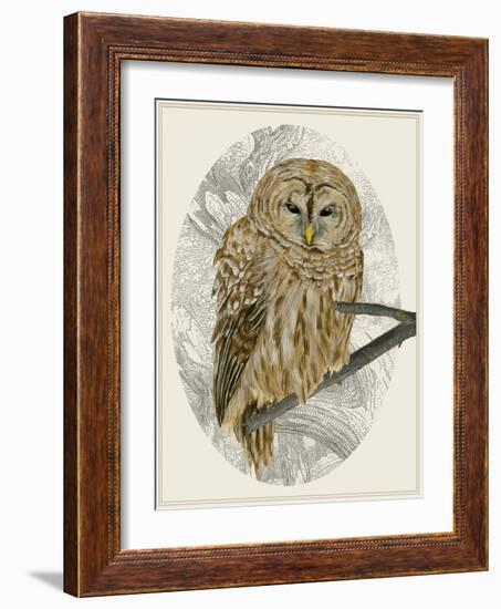 Barred Owl I-Melissa Wang-Framed Art Print