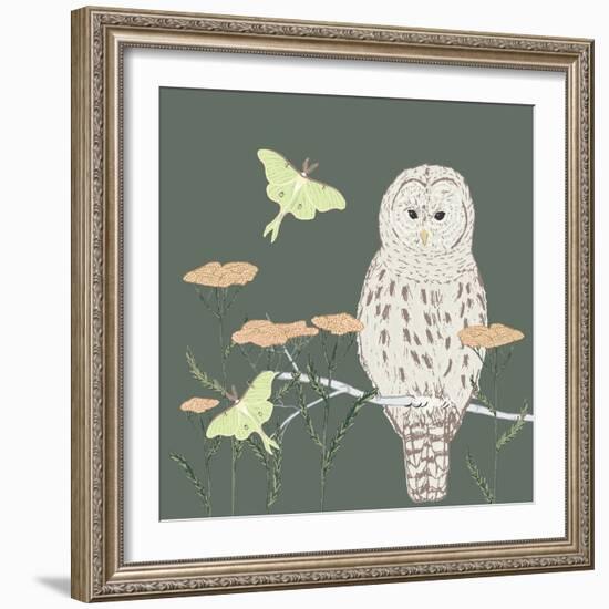 Barred Owl Luna Moth Night-Sweet Melody Designs-Framed Art Print