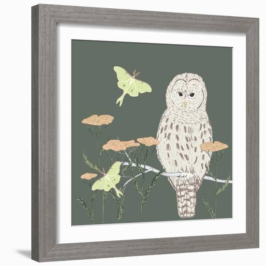 Barred Owl Luna Moth Night-Sweet Melody Designs-Framed Art Print