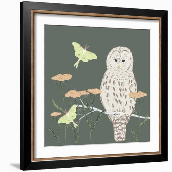 Barred Owl Luna Moth Night-Sweet Melody Designs-Framed Art Print