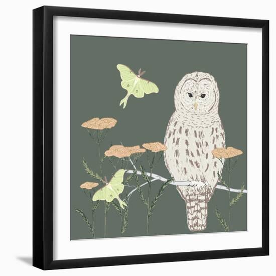 Barred Owl Luna Moth Night-Sweet Melody Designs-Framed Art Print