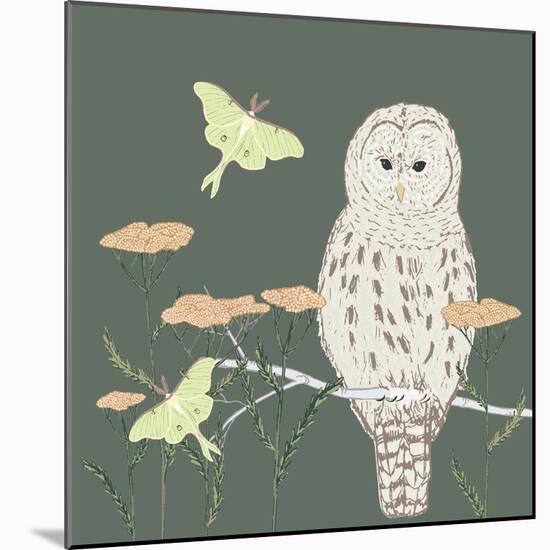 Barred Owl Luna Moth Night-Sweet Melody Designs-Mounted Art Print