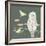 Barred Owl Luna Moth Night-Sweet Melody Designs-Framed Art Print
