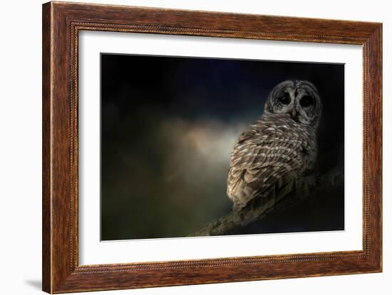 Barred Owl on a Winter Night-Jai Johnson-Framed Giclee Print