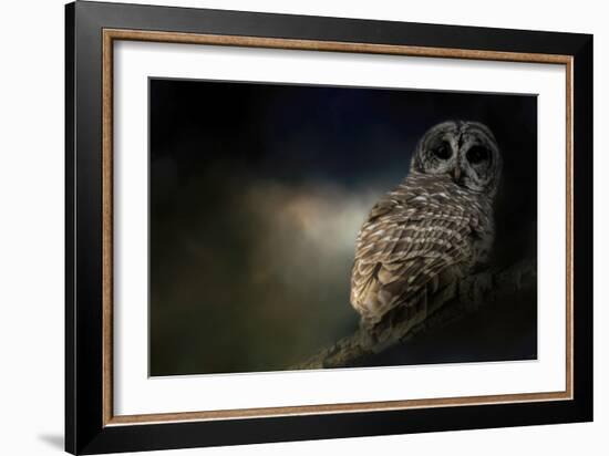 Barred Owl on a Winter Night-Jai Johnson-Framed Giclee Print