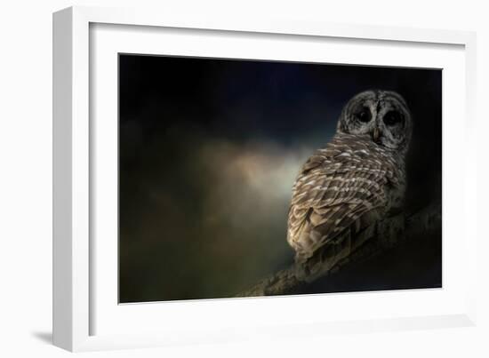 Barred Owl on a Winter Night-Jai Johnson-Framed Giclee Print