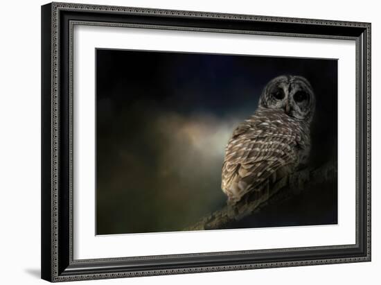 Barred Owl on a Winter Night-Jai Johnson-Framed Giclee Print