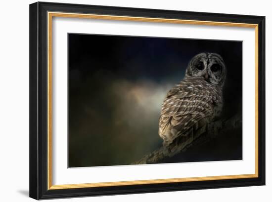 Barred Owl on a Winter Night-Jai Johnson-Framed Giclee Print