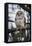 Barred owl on perch, United States of America, North America-Ashley Morgan-Framed Premier Image Canvas