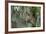 Barred Owl (Strix Varia) in Bald Cypress Forest on Caddo Lake, Texas, USA-Larry Ditto-Framed Photographic Print