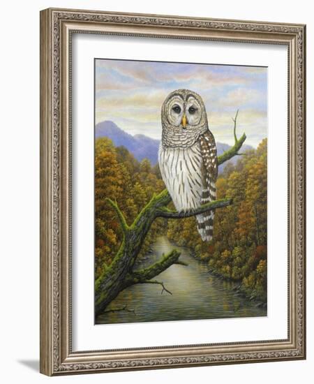 Barred Owl-Robert Wavra-Framed Giclee Print