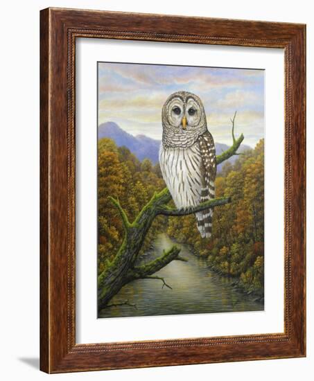 Barred Owl-Robert Wavra-Framed Giclee Print