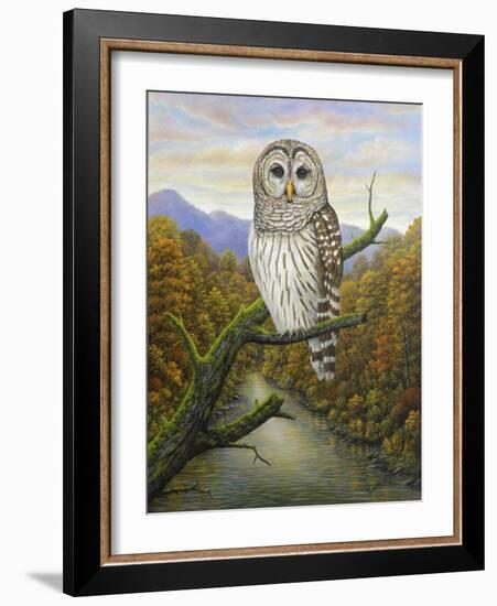 Barred Owl-Robert Wavra-Framed Giclee Print