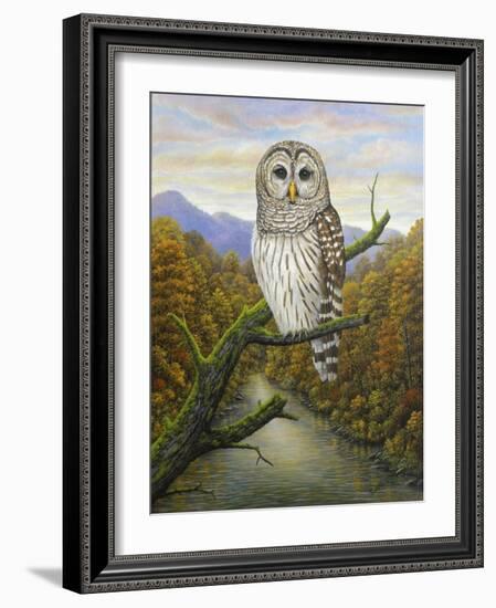 Barred Owl-Robert Wavra-Framed Giclee Print