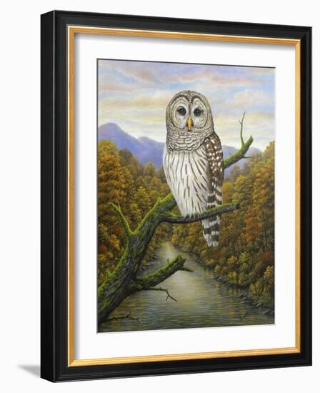 Barred Owl-Robert Wavra-Framed Giclee Print