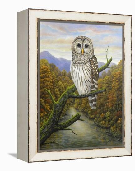Barred Owl-Robert Wavra-Framed Premier Image Canvas