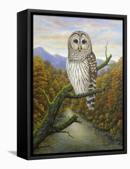 Barred Owl-Robert Wavra-Framed Premier Image Canvas