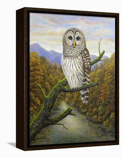 Barred Owl-Robert Wavra-Framed Premier Image Canvas