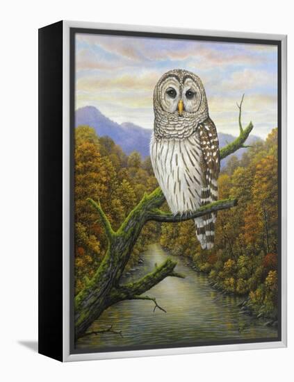 Barred Owl-Robert Wavra-Framed Premier Image Canvas