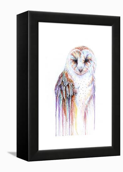 Barred Rainbow Owl-Michelle Faber-Framed Premier Image Canvas