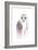 Barred Rainbow Owl-Michelle Faber-Framed Giclee Print