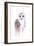 Barred Rainbow Owl-Michelle Faber-Framed Giclee Print