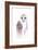 Barred Rainbow Owl-Michelle Faber-Framed Giclee Print