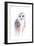 Barred Rainbow Owl-Michelle Faber-Framed Giclee Print