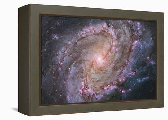 Barred Spiral Galaxy Messier 83-null-Framed Premier Image Canvas