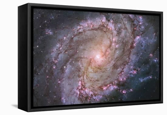 Barred Spiral Galaxy Messier 83-null-Framed Premier Image Canvas