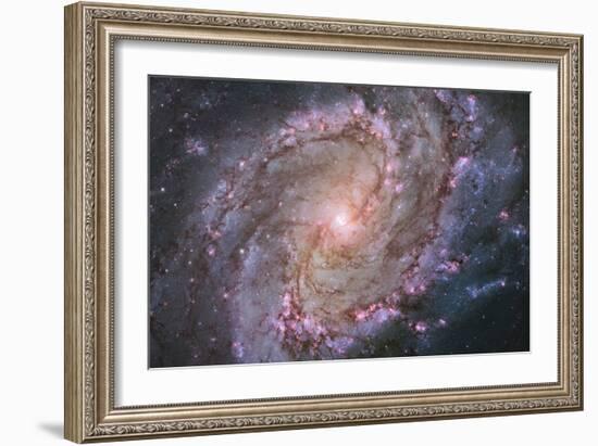 Barred Spiral Galaxy Messier 83-null-Framed Photographic Print