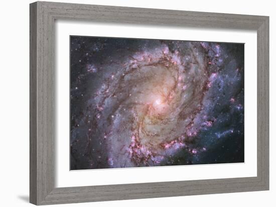 Barred Spiral Galaxy Messier 83-null-Framed Photographic Print