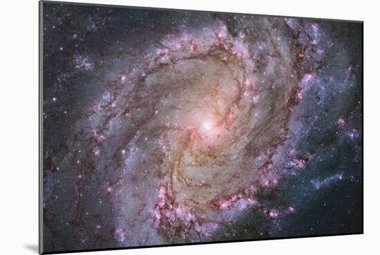 Barred Spiral Galaxy Messier 83-null-Mounted Photographic Print