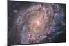 Barred Spiral Galaxy Messier 83-null-Mounted Photographic Print