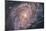 Barred Spiral Galaxy Messier 83-null-Mounted Photographic Print