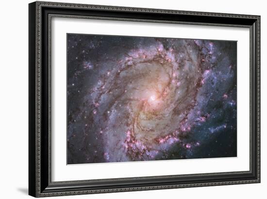Barred Spiral Galaxy Messier 83-null-Framed Photographic Print