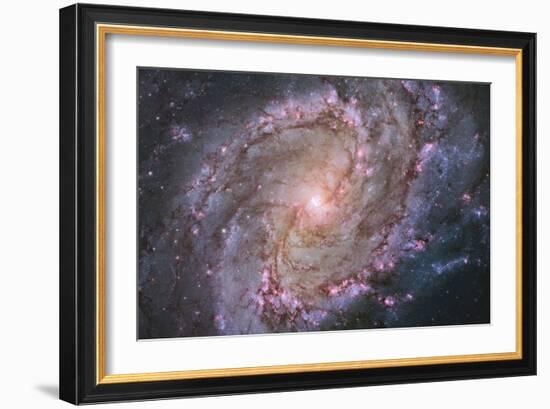 Barred Spiral Galaxy Messier 83-null-Framed Photographic Print