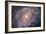 Barred Spiral Galaxy Messier 83-null-Framed Photographic Print