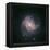 Barred Spiral Galaxy Messier 83-null-Framed Premier Image Canvas