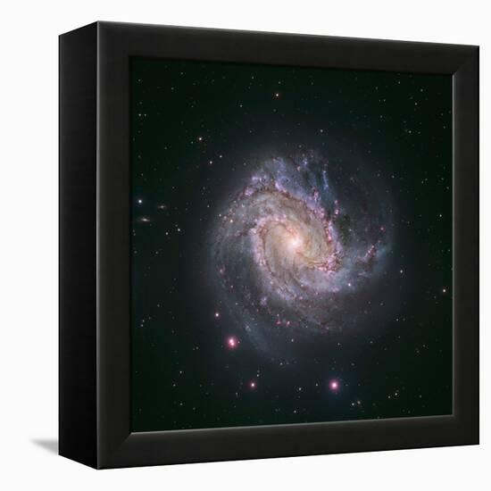 Barred Spiral Galaxy Messier 83-null-Framed Premier Image Canvas