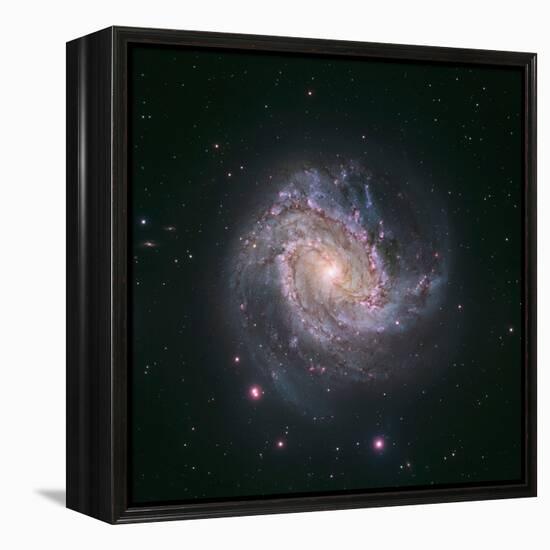 Barred Spiral Galaxy Messier 83-null-Framed Premier Image Canvas