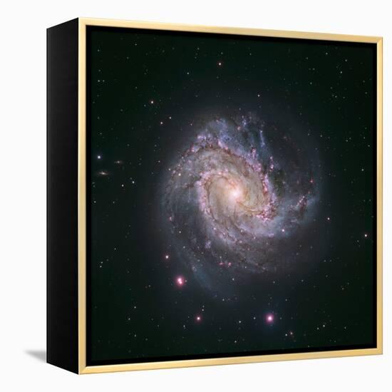 Barred Spiral Galaxy Messier 83-null-Framed Premier Image Canvas