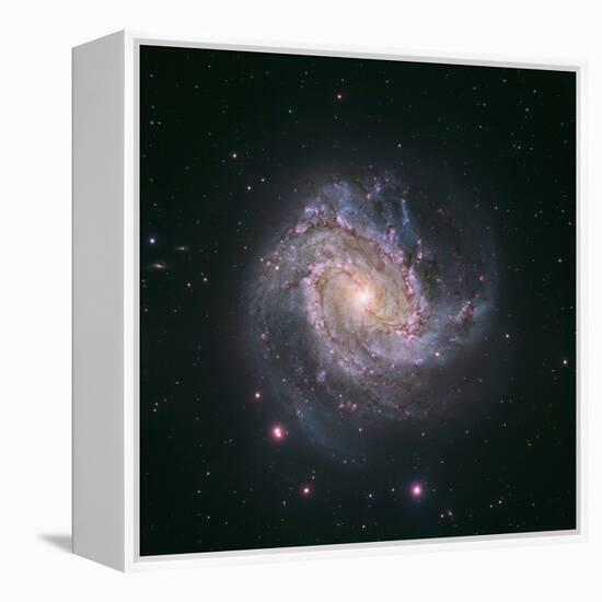 Barred Spiral Galaxy Messier 83-null-Framed Premier Image Canvas